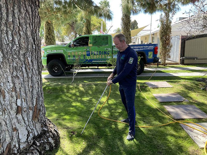 Scottsdale Deep Root Fertilization