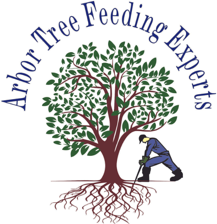 Arbor Tree Feeding Experts